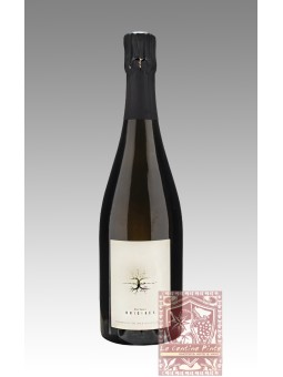 SALIMA & ALAIN CORDEUR CHAMPAGNE ORIGEN 2020