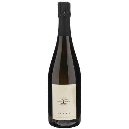 SALIMA & ALAIN CORDEUR CHAMPAGNE ORIGEN 2020