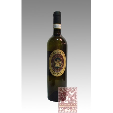 SANICE VERNACCIA DI SAN GIMIGNANO 2019 - RISERVA CESANI (BIO)