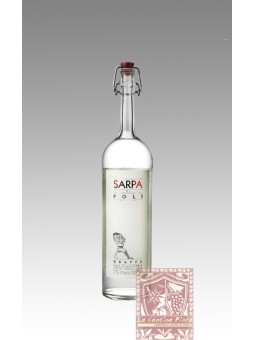 SARPA DI POLI ACQUAVITE DI VINACCIA