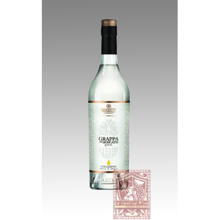 STORIE DI VITIGNO GRAPPA DI MOSCATO GIOVANE - MAZZETTI D'ALTAVILLA