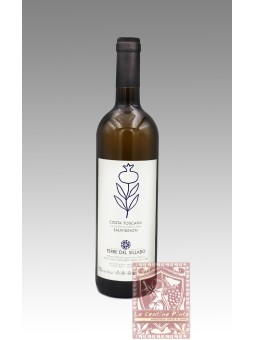 SAUVIGNON BLANC 2013 - TERRE DEL SILLABO