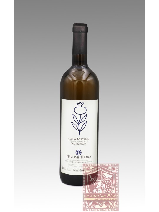 SAUVIGNON 2013 - TERRE DEL SILLABO