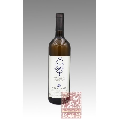 SAUVIGNON 2013 - TERRE DEL SILLABO