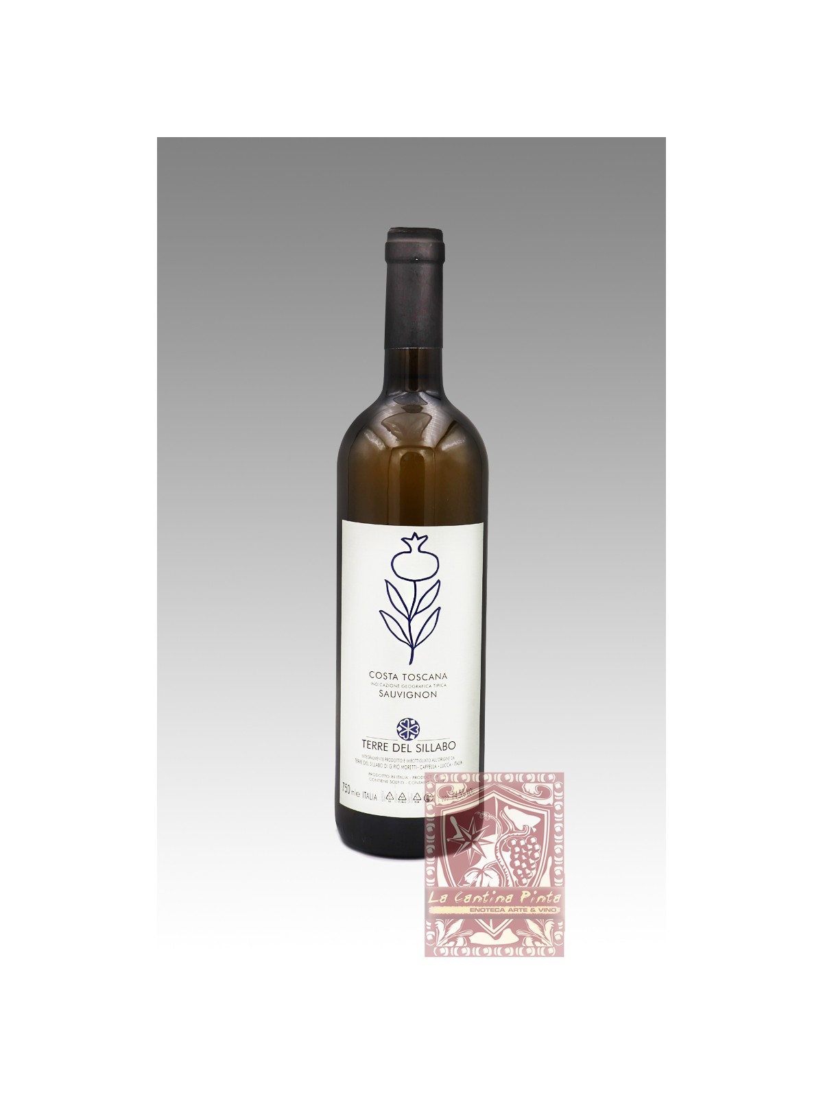 SAUVIGNON 2013 - TERRE DEL SILLABO