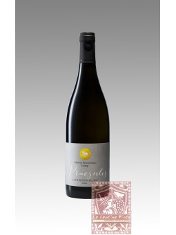 SAUVIGNON BLANC PRAESULIS 2022 - TENUTA GUMPHOF