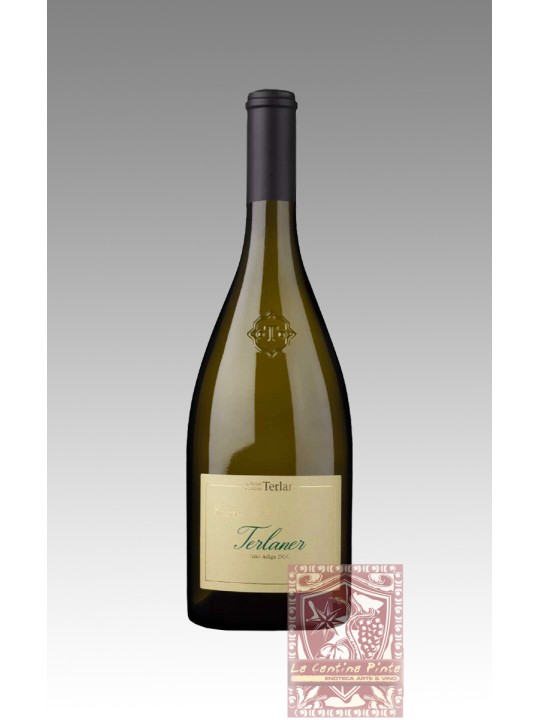 SAUVIGNON WINKL 2023 - CANTINA TERLANO - KELLEREI TERLAN