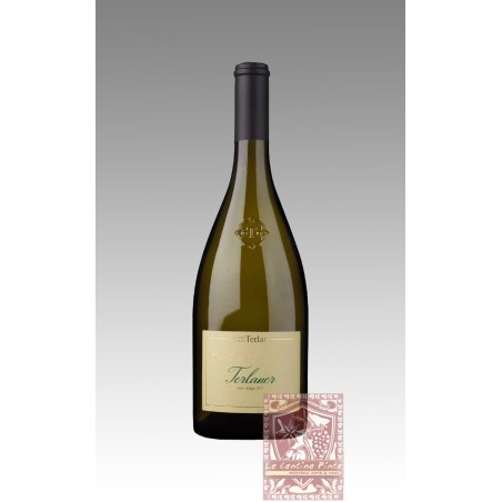 SAUVIGNON WINKL 2023 - CANTINA TERLANO - KELLEREI TERLAN