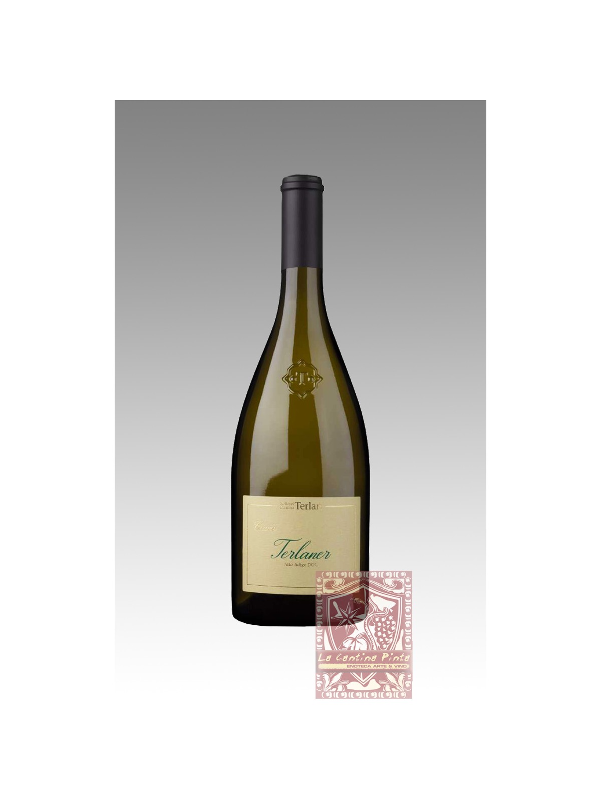 SAUVIGNON WINKL 2023 - CANTINA TERLANO - KELLEREI TERLAN