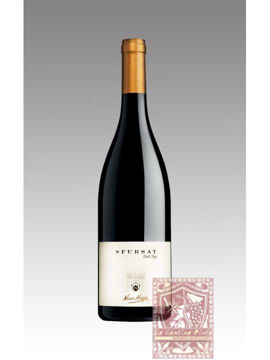 SFURSAT CARLO NEGRI 2019 - NINO NEGRI