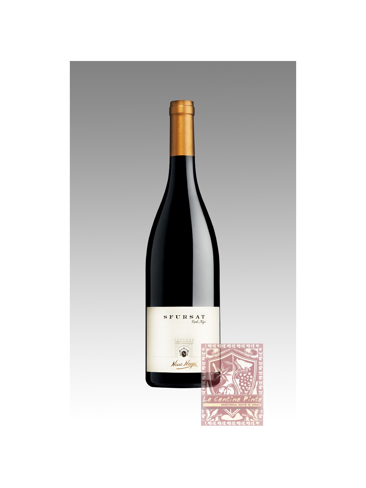 SFURSAT CARLO NEGRI 2019 - NINO NEGRI