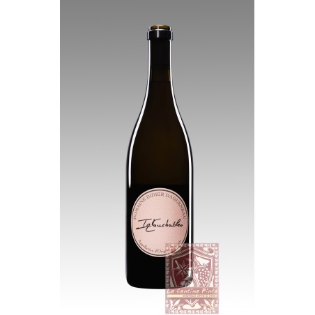 INTOUCHABLES 2019 BLANC FUMé DE POUILLY - DOMAINE DIDIER DAGUENEAU