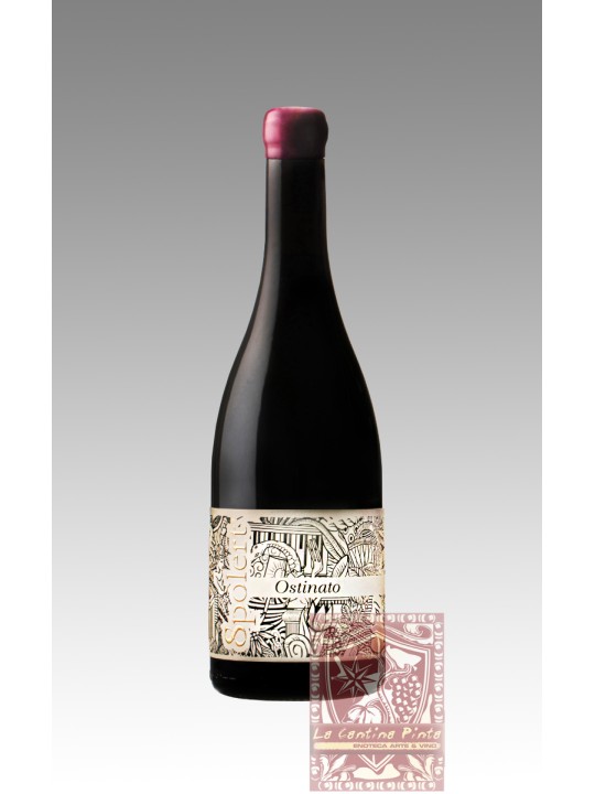 OSTINATO REFOSCO DAL PEDUNCOLO ROSSO 2019 - SPOLERT