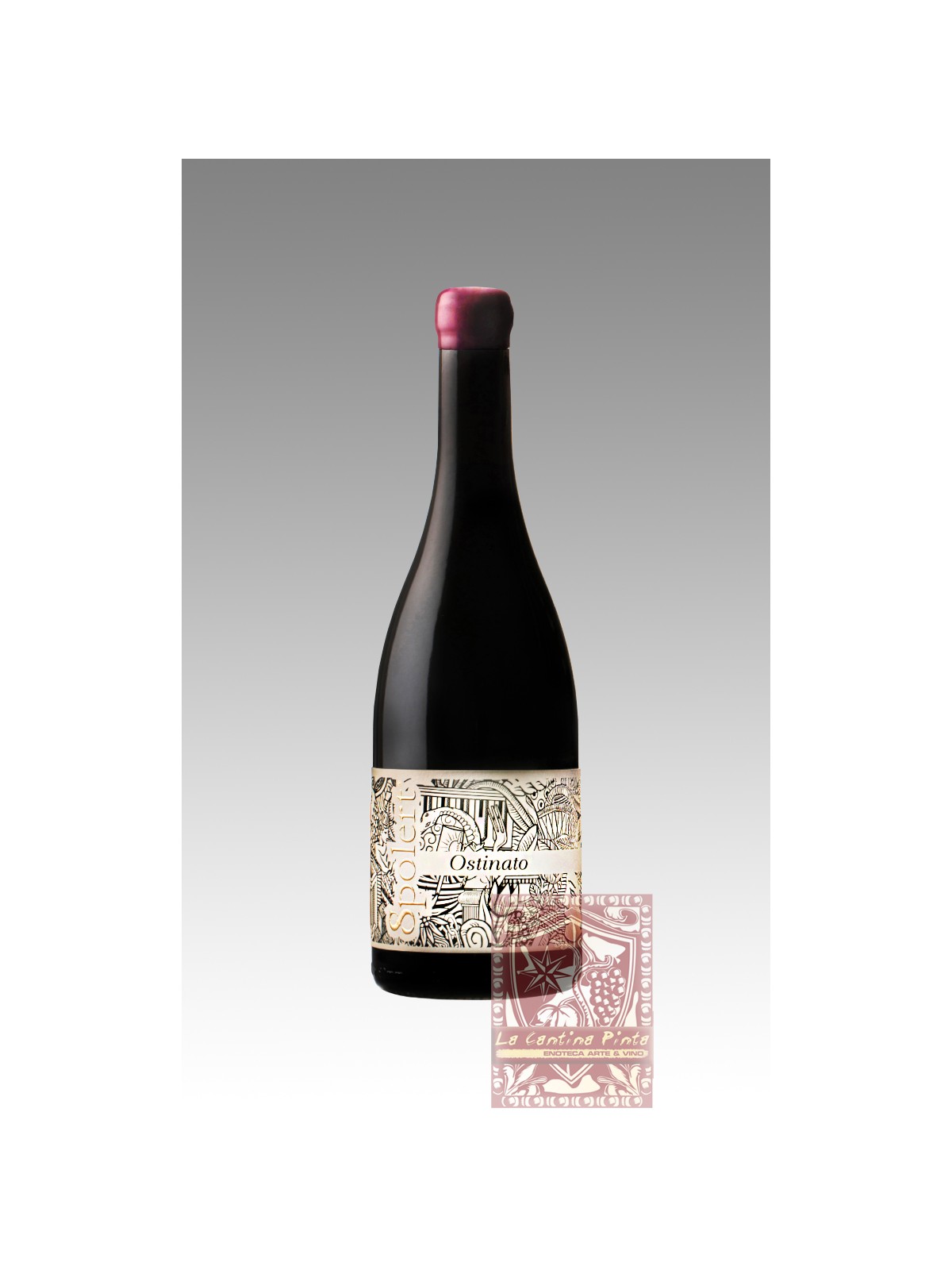 OSTINATO REFOSCO DAL PEDUNCOLO ROSSO 2019 - SPOLERT