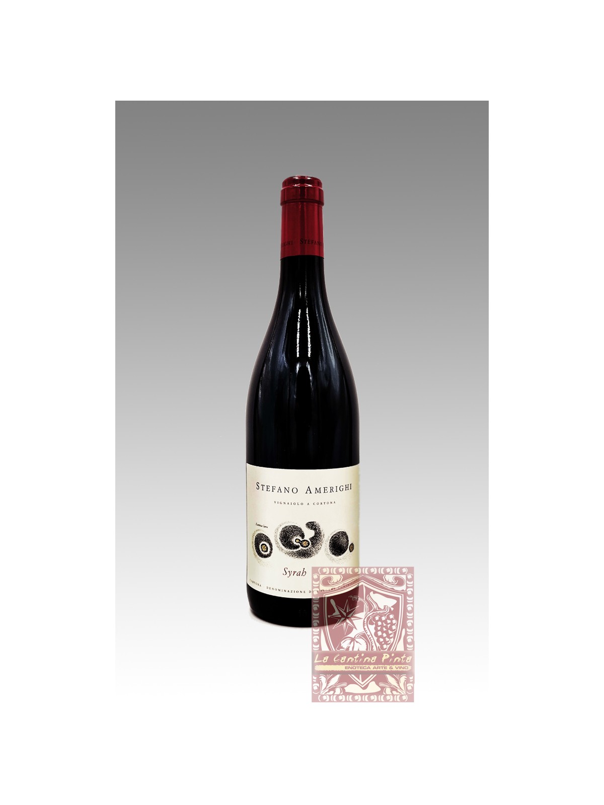 SYRAH DOC CORTONA 2021 AMERIGHI