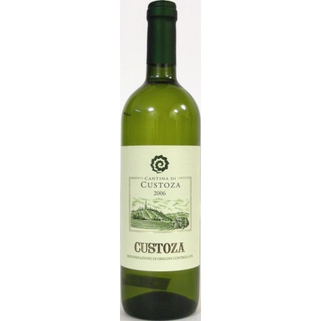 BIANCO DI CUSTOZA 2023 - CANTINE DI CUSTOZA