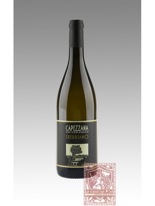TREBBIANO 2022 - CAPEZZANA
