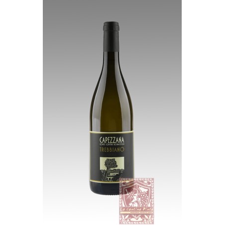 TREBBIANO 2022 - CAPEZZANA