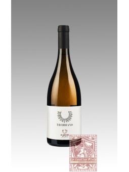 TREBBIANO LE ANFORE 2019 - ELENA CASADEI