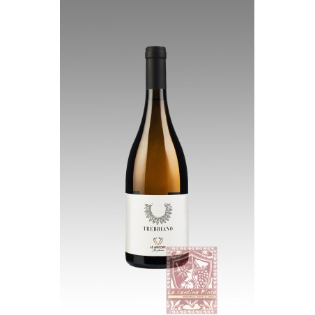 TREBBIANO LE ANFORE 2019 - ELENA CASADEI