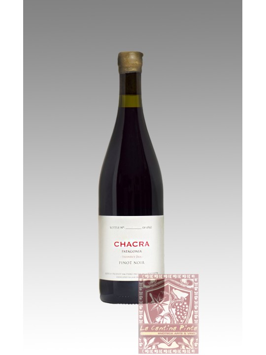 TREINTA Y DOS 32 PINOT NOIR 2021 BODEGA CHACRA - PATAGONIA