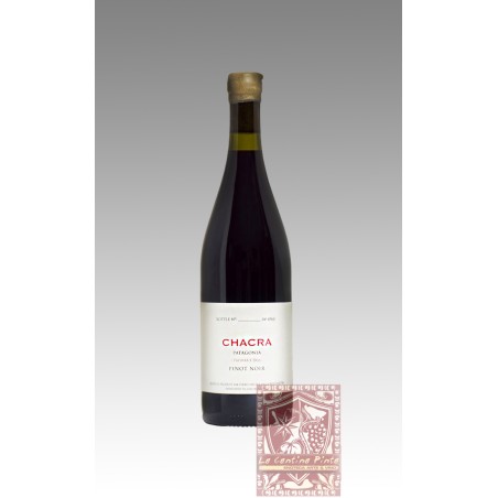 TREINTA Y DOS 32 PINOT NOIR 2021 BODEGA CHACRA - PATAGONIA