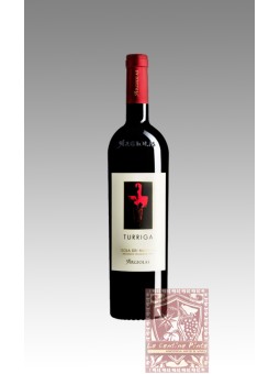 TURRIGA 2019 ISOLA DEI NURAGHI - ARGIOLAS