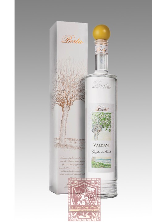 VALDAVI PRIMANEVE GRAPPA GIOVANE DI MOSCATO - DISTILLERIE BERTA