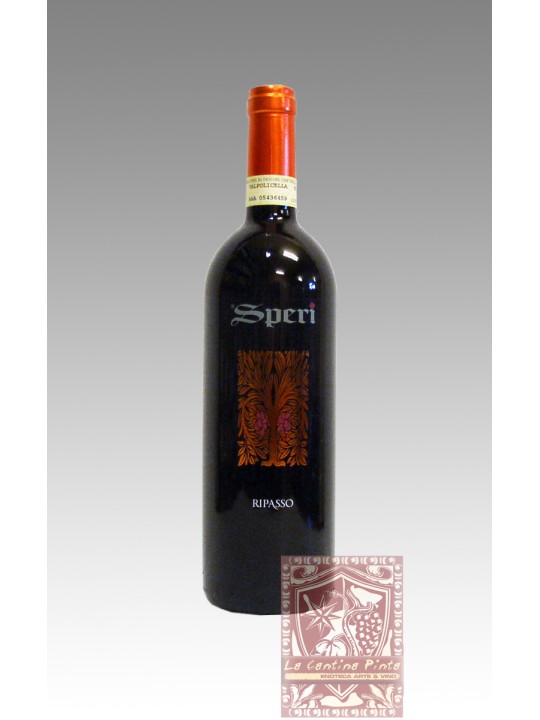 VALPOLICELLA RIPASSO 2019 - SPERI