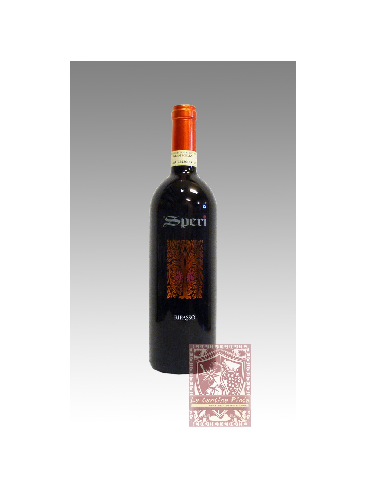VALPOLICELLA RIPASSO 2019 - SPERI