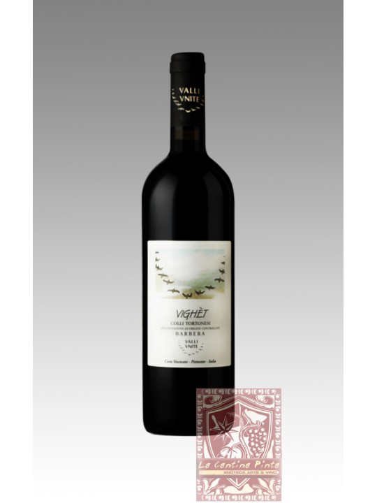 VIGHET BARBERA COLLI TORTONESI 2018 - VALLI UNITE