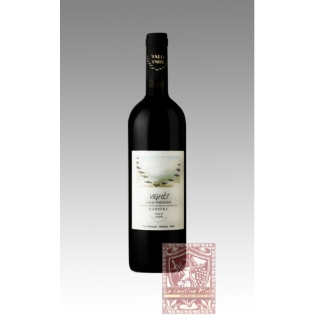 VIGHET BARBERA COLLI TORTONESI 2018 - VALLI UNITE