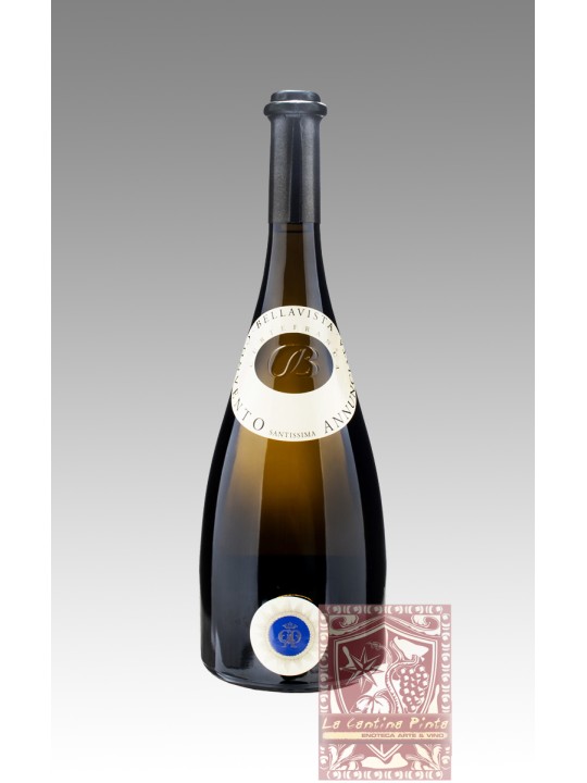 VIGNA CONVENTO SANTISSIMA ANNUNCIATA 2017 - BELLAVISTA