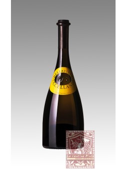 VIGNA UCCELLANDA 2017- BELLAVISTA