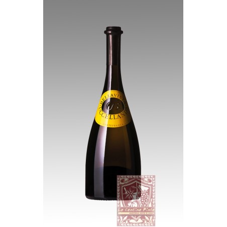 VIGNA UCCELLANDA 2017- BELLAVISTA