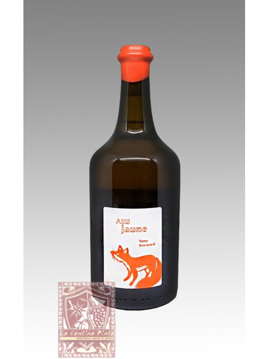 VIN JAUNE ARBOIS PUPILLIN SAVAGNIN  2014  -PHILIPPE BORNARD