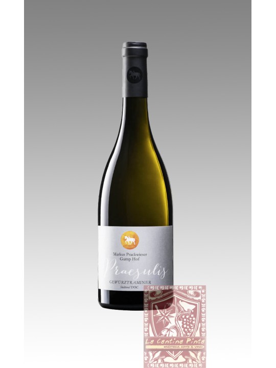 WEISSBURGUNDER  PRAESULIS 2022 - GUMPHOF