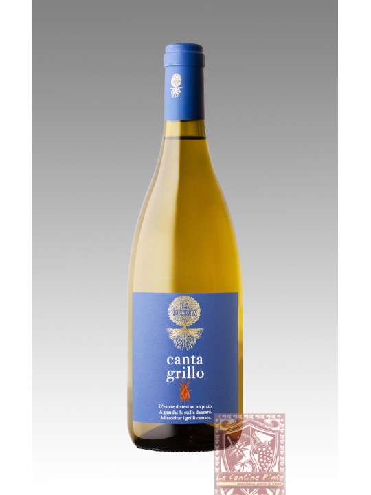 CANTAGRILLO 2022 TOSCANA TREBBIANO - LA LECCIA