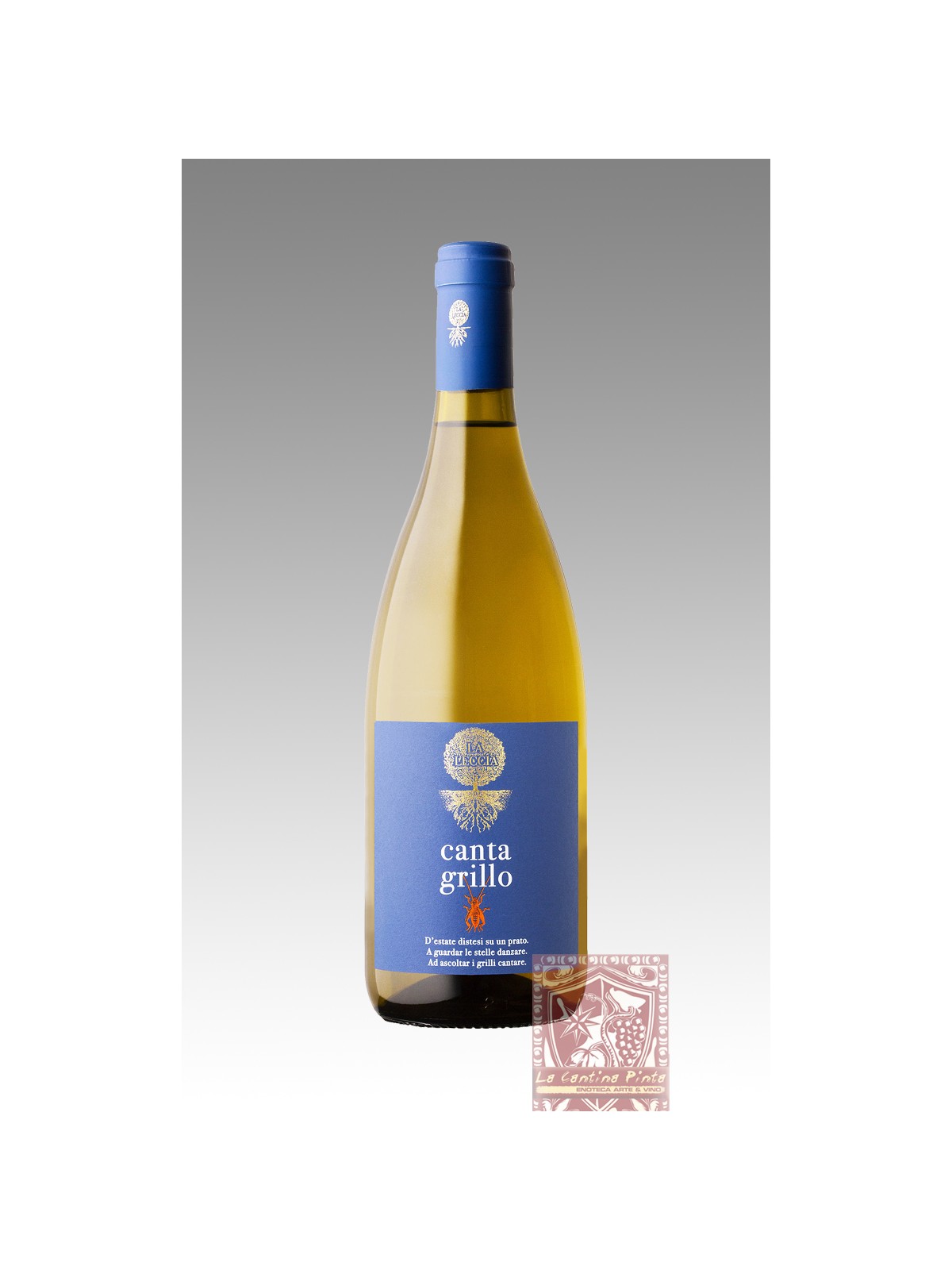CANTAGRILLO 2022 TOSCANA TREBBIANO - LA LECCIA