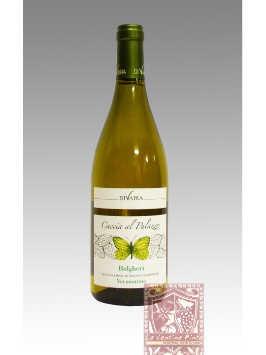BOLGHERI BIANCO VERMENTINO CACCIA AL PALAZZO 2023 - TENUTA DIVAIRA