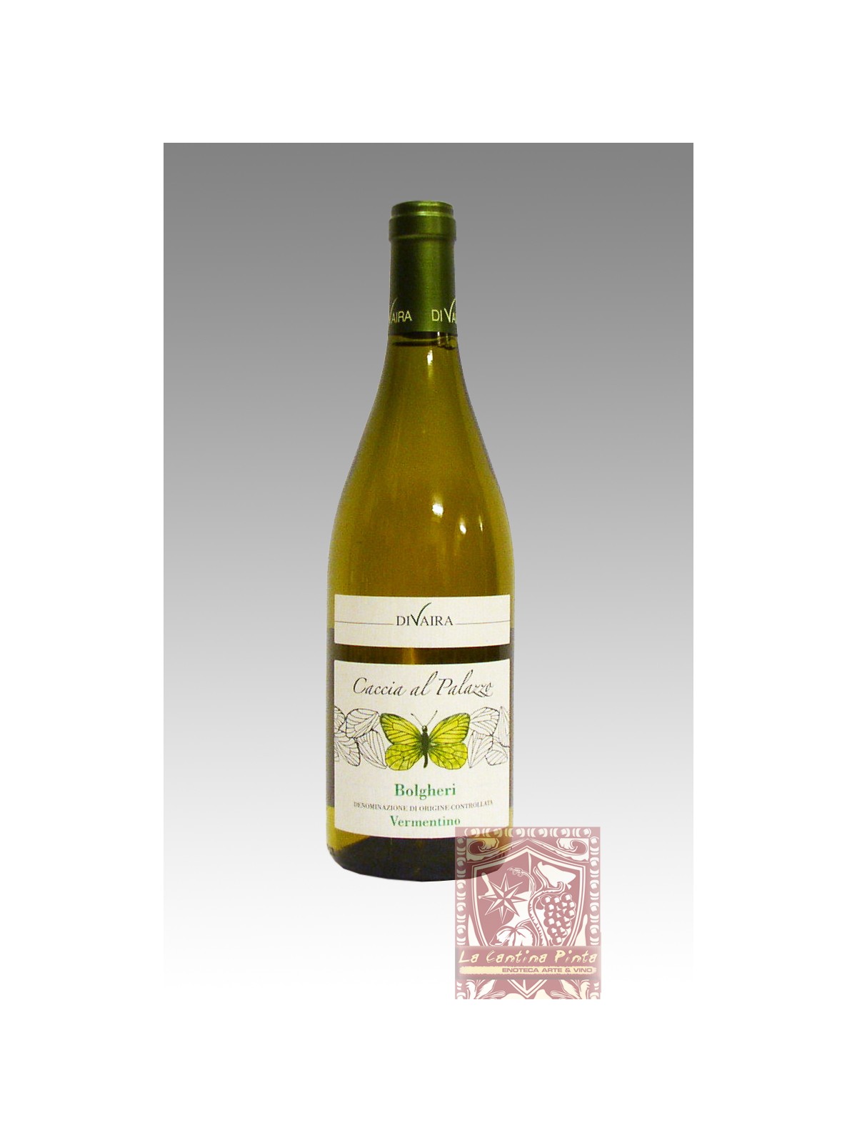 BOLGHERI BIANCO VERMENTINO CACCIA AL PALAZZO 2023 - TENUTA DIVAIRA