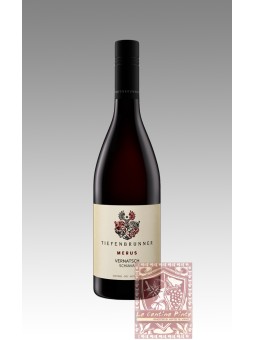 SCHIAVA TURMHOF 2023 - TIEFENBRUNNER