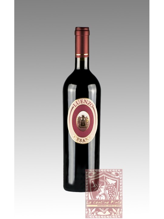 LUENZO 2010 - CESANI