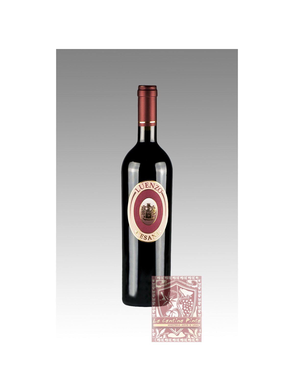 LUENZO 2010 - CESANI