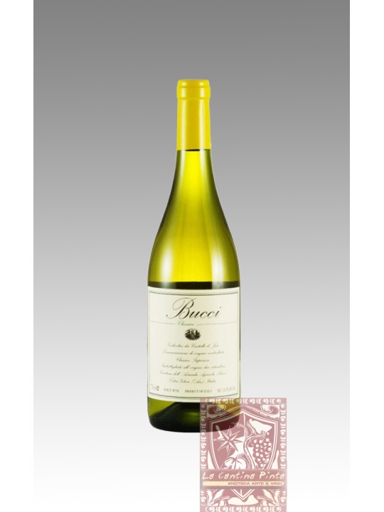 VERDICCHIO DEI CASTELLI DI JESI  2022 - BIO- BUCCI