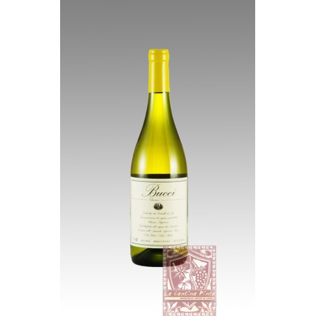VERDICCHIO DEI CASTELLI DI JESI  2022 - BIO- BUCCI