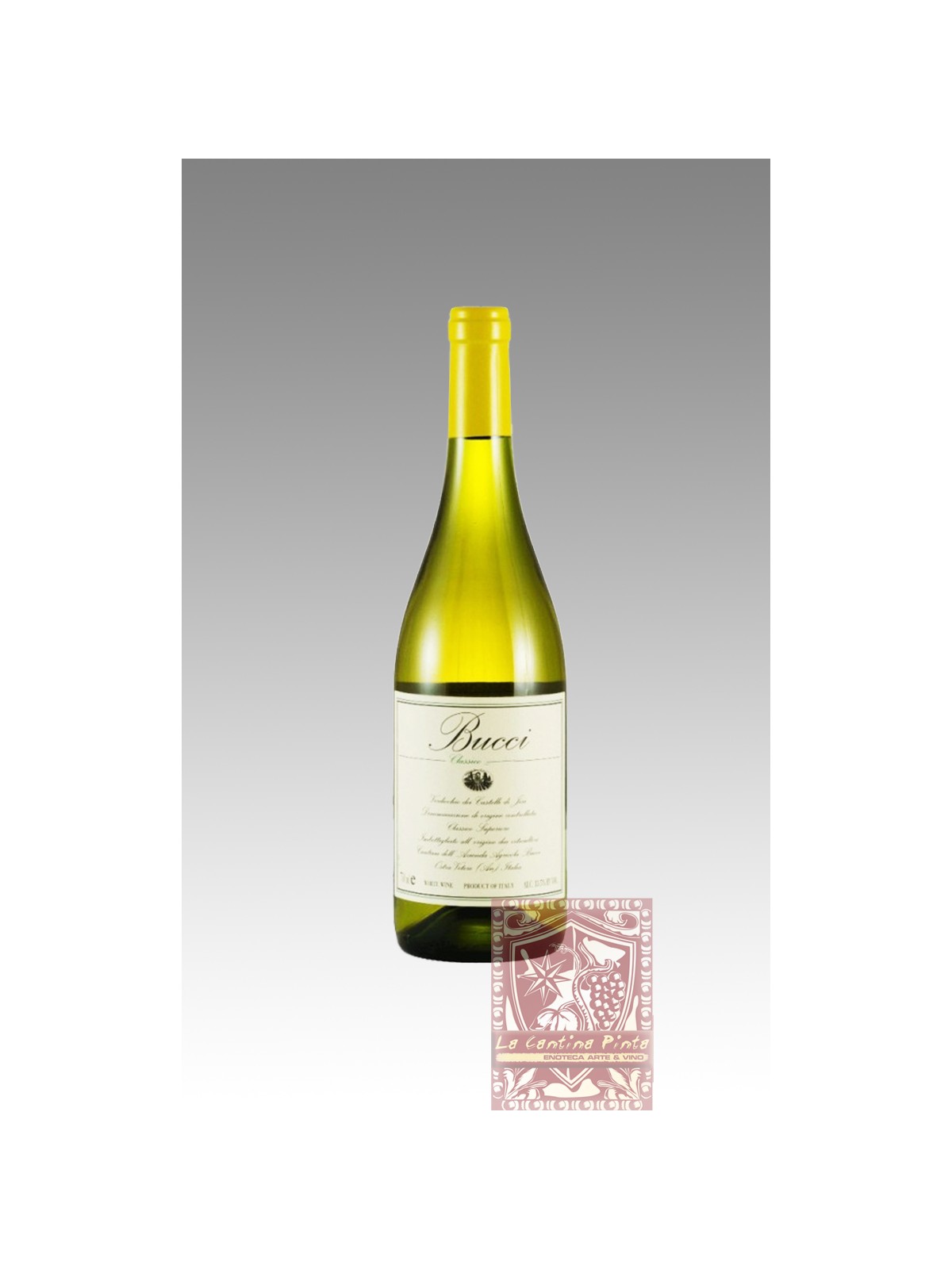 VERDICCHIO DEI CASTELLI DI JESI  2022 - BIO- BUCCI