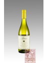 VERDICCHIO DEI CASTELLI DI JESI  2022 - BIO- BUCCI