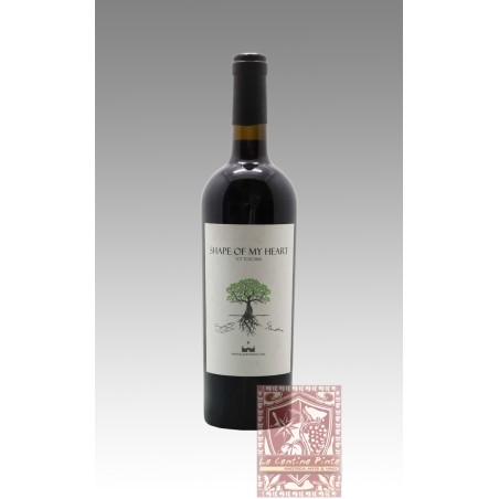 SHAPE OF MY HEART 2020 ROSSO TOSCANA IGT - TENUTA IL PALAGIO