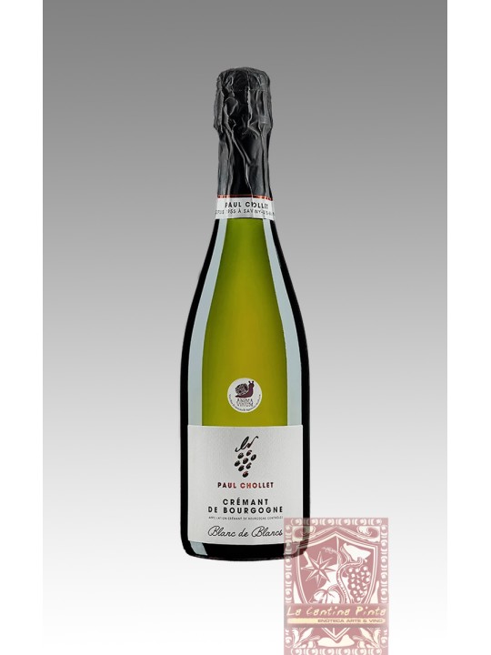 CREMANT DE BOURGOGNE BLANC DE BLANCS - PAUL CHOLLET
